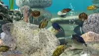 Fish Farm 3 - 3D Aquarium Simulator 1.18.6.7180