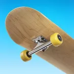 Flip Skater 2.46