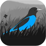 Експеримент