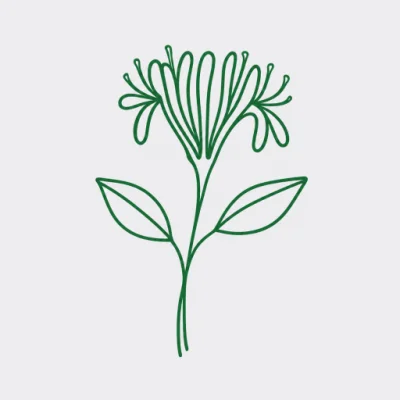 Herbarium: Plant Field Journal