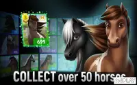 Cartoon Horse Riding Game