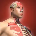 Human battle Falls Fight 1.1