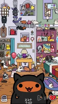 Клептокотики 6.1.16