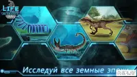 Эволюция Человека Кликер: Игра про Жизнь 1.9.9