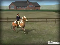 Мій кінь 1.37.1