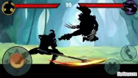Shadow Warrior Ultimate Fighting