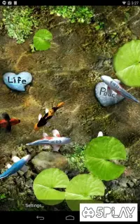  Space Live Wallpaper 3D 1.4 на андроїд безкоштовно