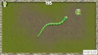 Slithering Snake.io