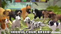 Ultimate Dog Simulator