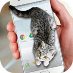 Cat Walks in Phone Cute Joke