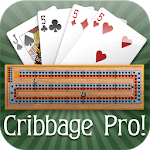 Cribbage Pro Online!