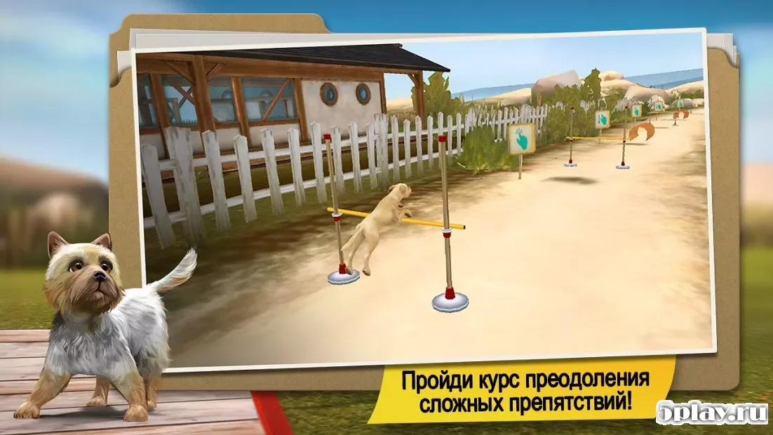 DogHotel – играйте с собаками и заботьтесь о них 2.1.2