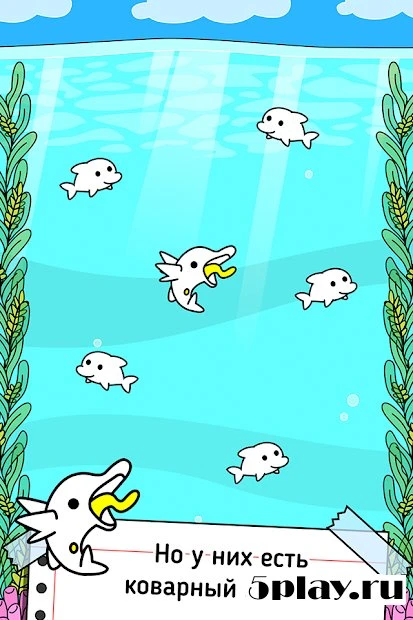Dolphin Evolution 1.0