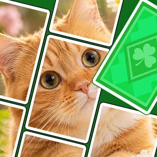 Jigsaw Fall - Solitaire Puzzle