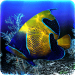 My 3D Fish II