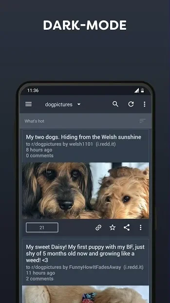  BaconReader for Reddit 5.8.8 на андроїд безкоштовно