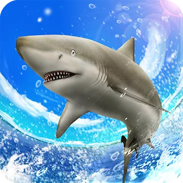 Wild Shark Fishing