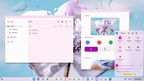 Динамічний матеріал, який ви інтерфейс додали до ОС Chrome