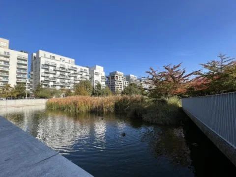 Лабораторія Dxomark під назвою камера iPhone 14 однією з найкращих