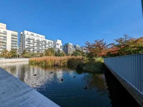 Лабораторія Dxomark під назвою камера iPhone 14 однією з найкращих