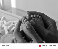Xiaomi продемонстрував можливість зйомки макросу флагманського смартфона 13 Pro