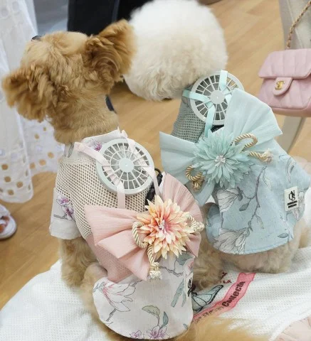 Японці почали виробляти мобільні кондиціонери для домашніх тварин 