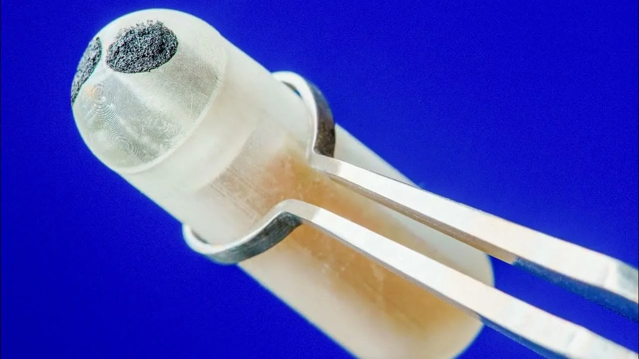 Американські вчені створили біомензорні таблетки для моніторингу шлунково -кишкового тракту