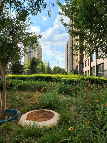 Оновлення Fresh Galaxy S22 "Накачав" можливості камери пристрою 