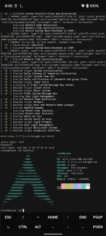 На Pixel 6 вони змогли запустити Windows 11, Classic Doom та Ubuntu