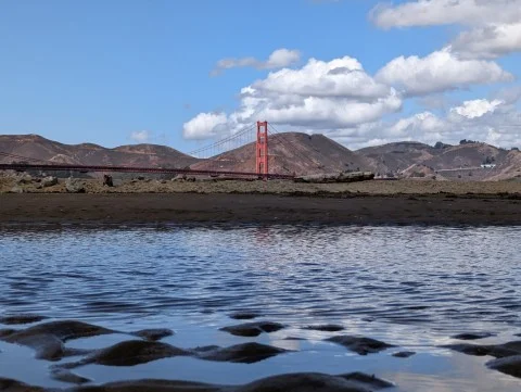 Можливості цифрової Zoom Camera Google Pixel 7 Pro показали на нових фотографіях  