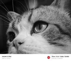 Xiaomi продемонстрував можливість зйомки макросу флагманського смартфона 13 Pro