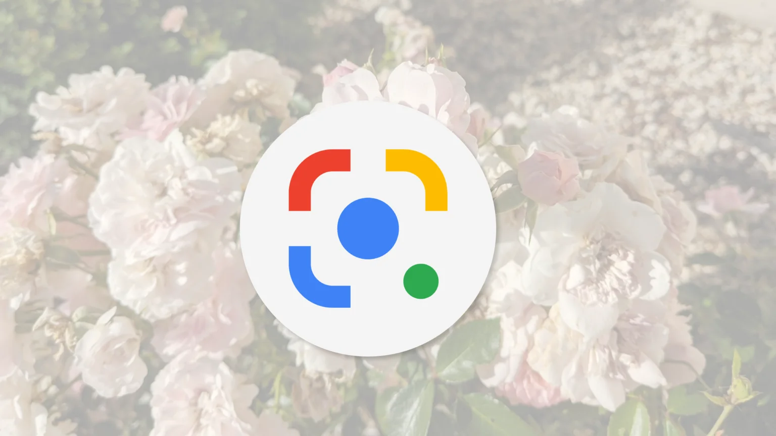 Google Chrome для ПК отримав елемент мобільної версії браузера