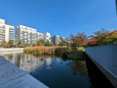 Камера Google Pixel 7 швидко ловиться в першій десятці лабораторії DXOMARK