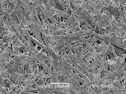 Вчені придумали легку чорнило, яку можна наносити та промивати до 50 разів