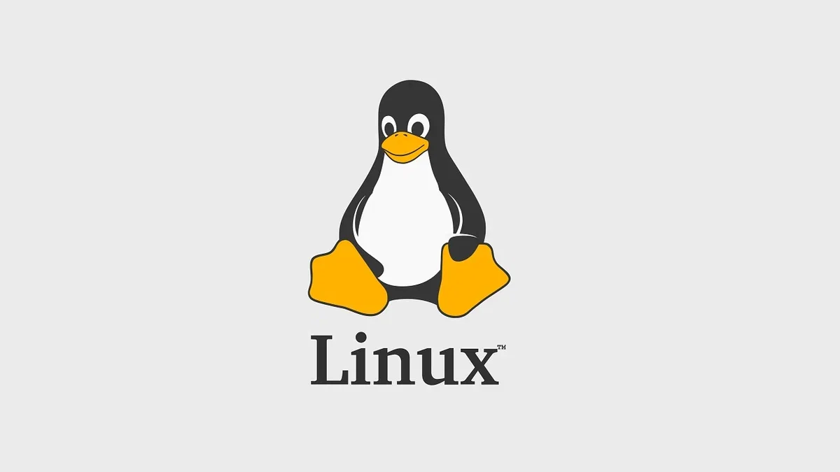 Стійкий Linux 6.1 вийшов. У ньому було внесено понад 15 тисяч виправлень
