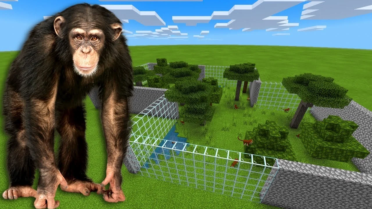 Мавпи вчили грати в Minecraft. І Primat не працював добре