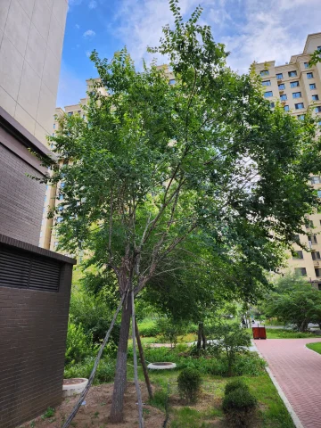 Оновлення Fresh Galaxy S22 "Накачав" можливості камери пристрою 